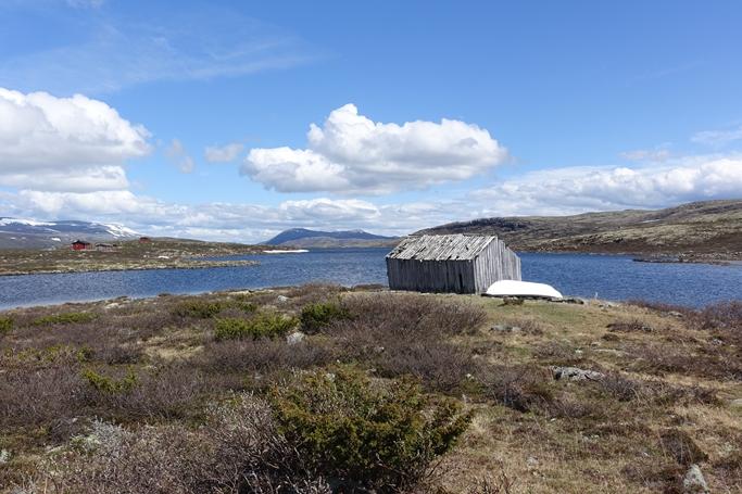 Leveområdet til villrein, med vekt på vinterbeite og villreintrekk gjer at retningslinene i forvaltningsplan er strenge ved vurdering av presedens i samband med bygging av t.d. uthus og tilbygg i Ottadalen lvo.