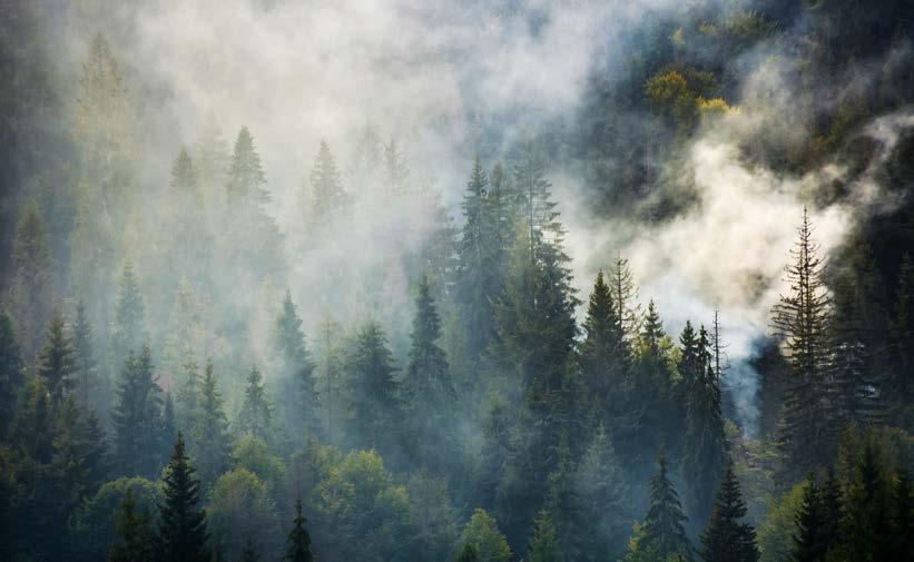 Klimapanelet Forbruket av fossile ressurser må ned og vi må resirkulere det karbonet som allerede finnes i det korte kretsløpet.