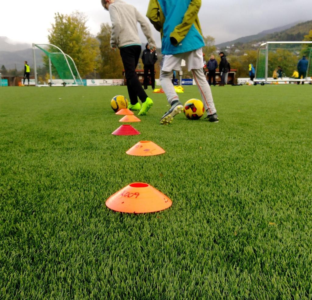 Trenerkurs. Bygge instruktørkorps. UEFA A og UEFA B-lisenskurs. (Forkurs) Fagansvarlig for trenerutvikling i klubb. Forum for treneransvarlig i kvalitetsklubber.