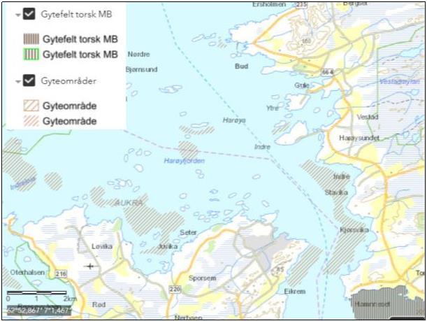 GYTEOMRÅDER I Fiskeridirektoratets kartdatabase er det avmerket gyteområde i Ospholmsundet like nord for Indre Harøya, og på østsiden av Harøyfjorden sør for Indre Harøya.