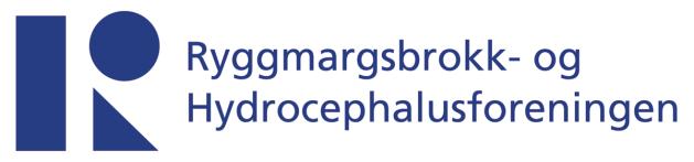 ÅRSBERETNING FOR RYGGMARGSBROKK- OG HYDROCEPHALUSFORENINGEN 2013 I.