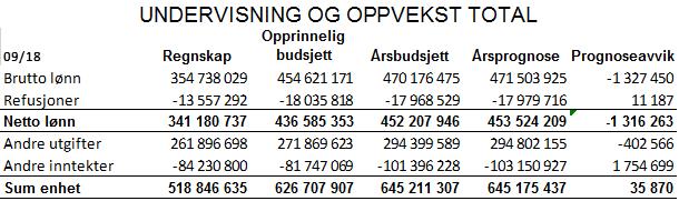 Totalt: Prognosen viser at kommunalavdelingen totalt går mot balanse ved årets slutt.