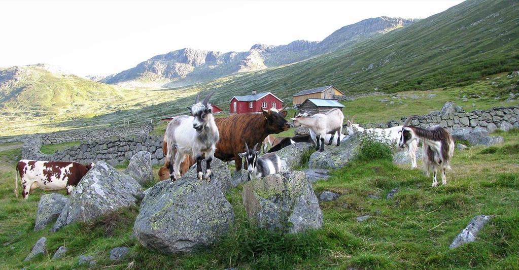 Gard og stølsnettverket og Mat fråvaldres viktige saker å ta tak i fellesskap i