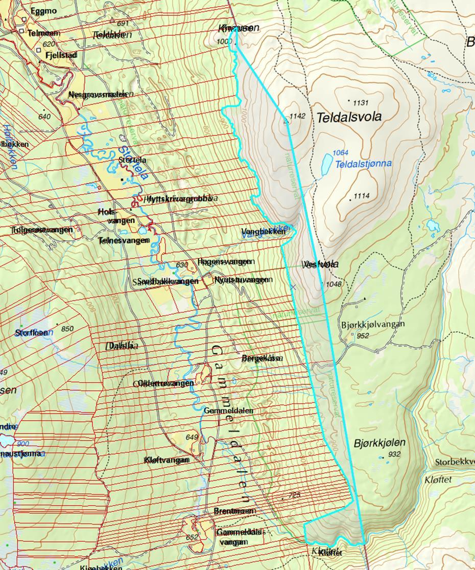 1. Forlenge grensene mellom skogteigene i Gammeldalen-Teldalen opp til kommunegrensa. 2.