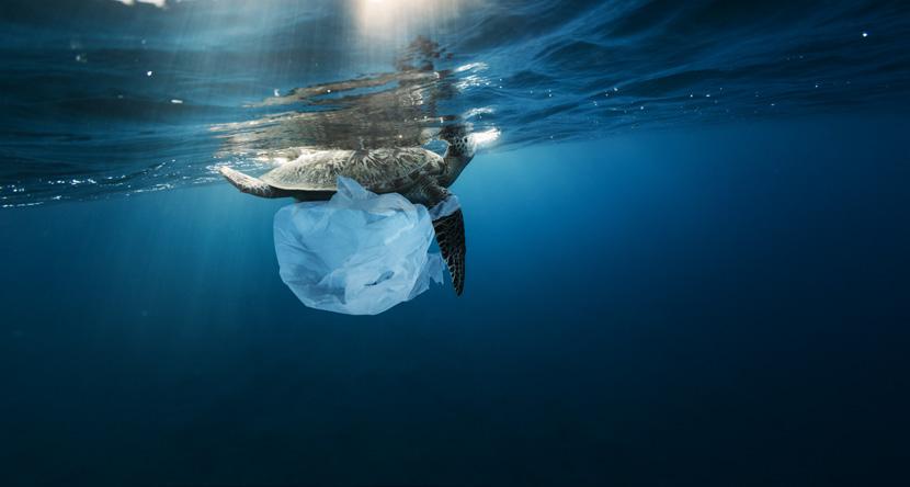 Stopp utslipp til havet Marin forsøpling er en av vår tids største miljøutfordringer, spesielt fra plastavfall som har lang nedbrytingstid.
