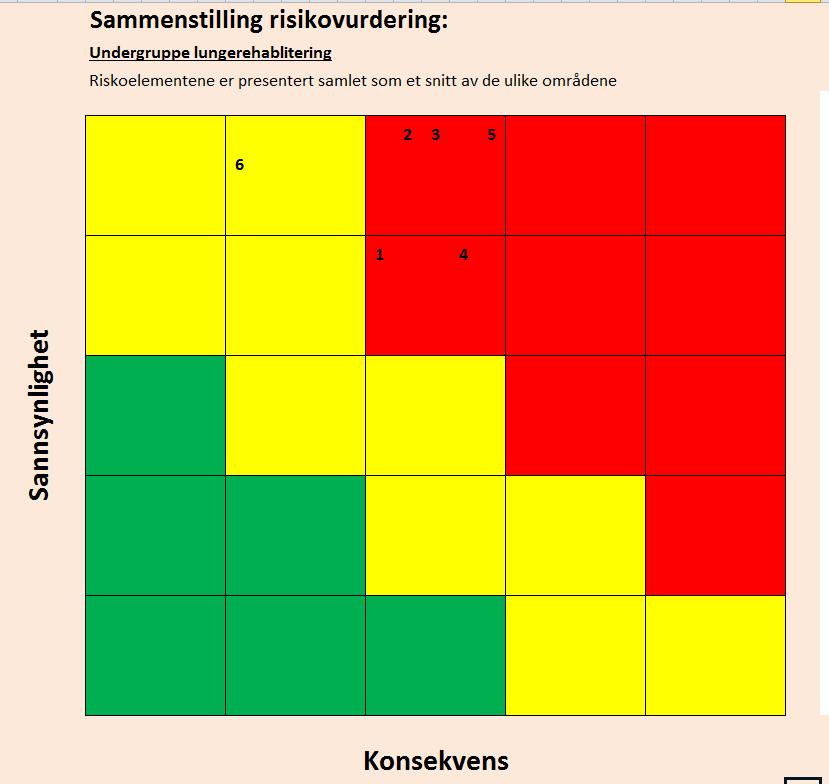 Undergruppen definerte følgende risikofaktorer: 1. Seksjonen klarer ikke beholde og videreutvikle nødvendig kompetanse 2.