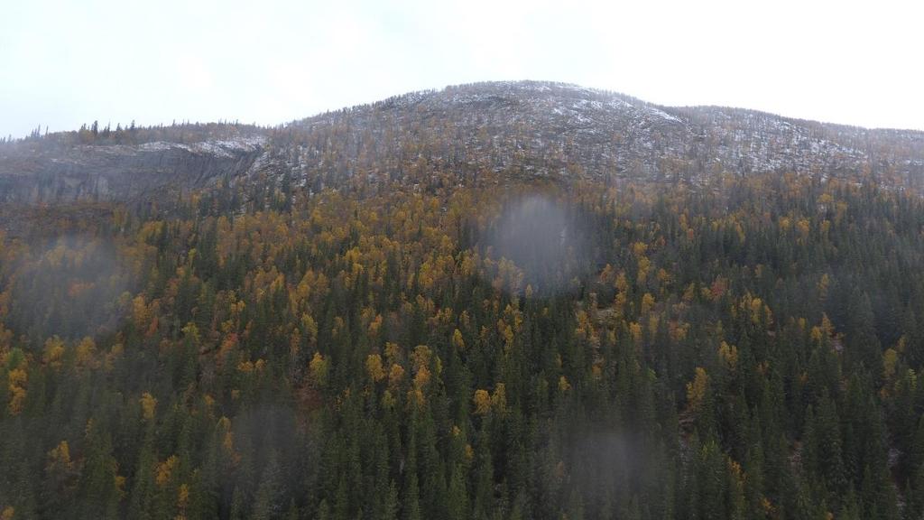 4 Vurdering av skredfare 4.1 Snøskred Basert på terrenghelning er det flere, potensielle utløsningsområder for snøskred mellom det vurderte området og Vesletotten.