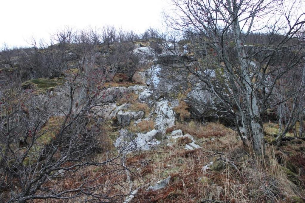 18 Figur 15:Bildet er tatt sørover og ser opp fjellsiden. Tynne avsetninger av løsmasser har sklidd ut.