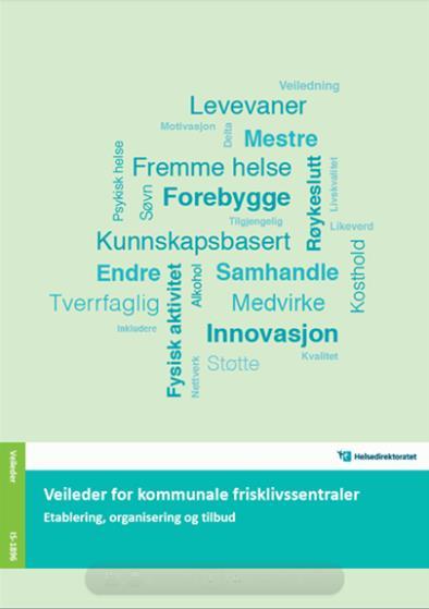 13 Fra veilederen Individuelt tilpasset oppfølging i frisklivssentralen kan gi økt aktivitetsnivå, bedret fysisk form, redusert kroppsmasseindeks (KMI) og bedring i selvopplevd helse.