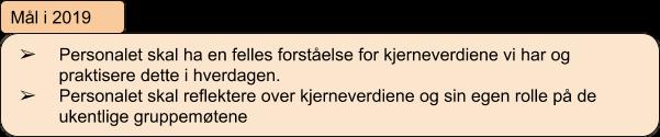 kjerneverdiene vi har fastsatt.