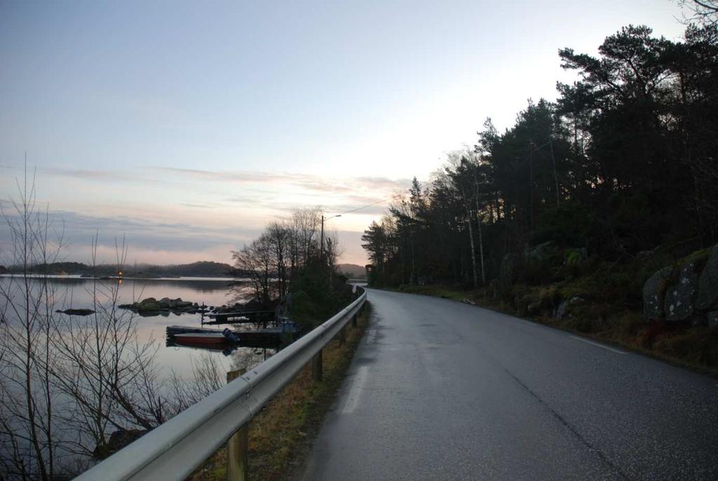 Natur- og kulturmiljø Naturmiljø Det ene planområdet, Grønvika, befinner seg på Skjernøya.