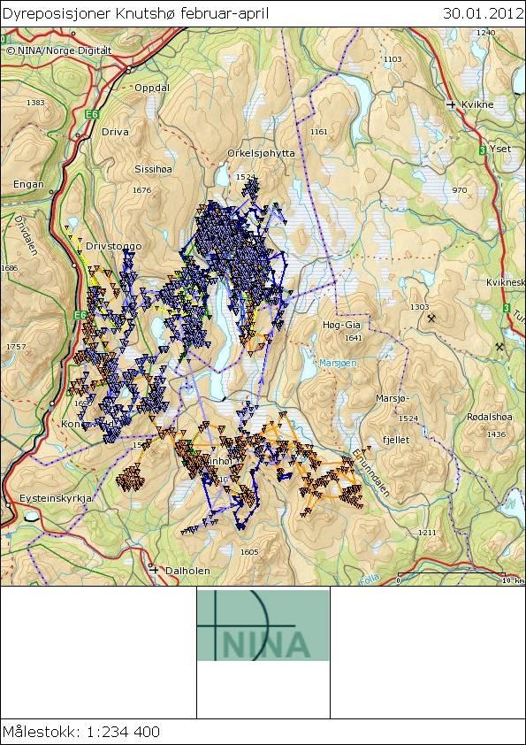 FoU-prosjektet: Villrein og ferdsel i Knutshø villreinområde (se kartet på neste side) og andre observasjoner fra fjelloppsyn m.fl.
