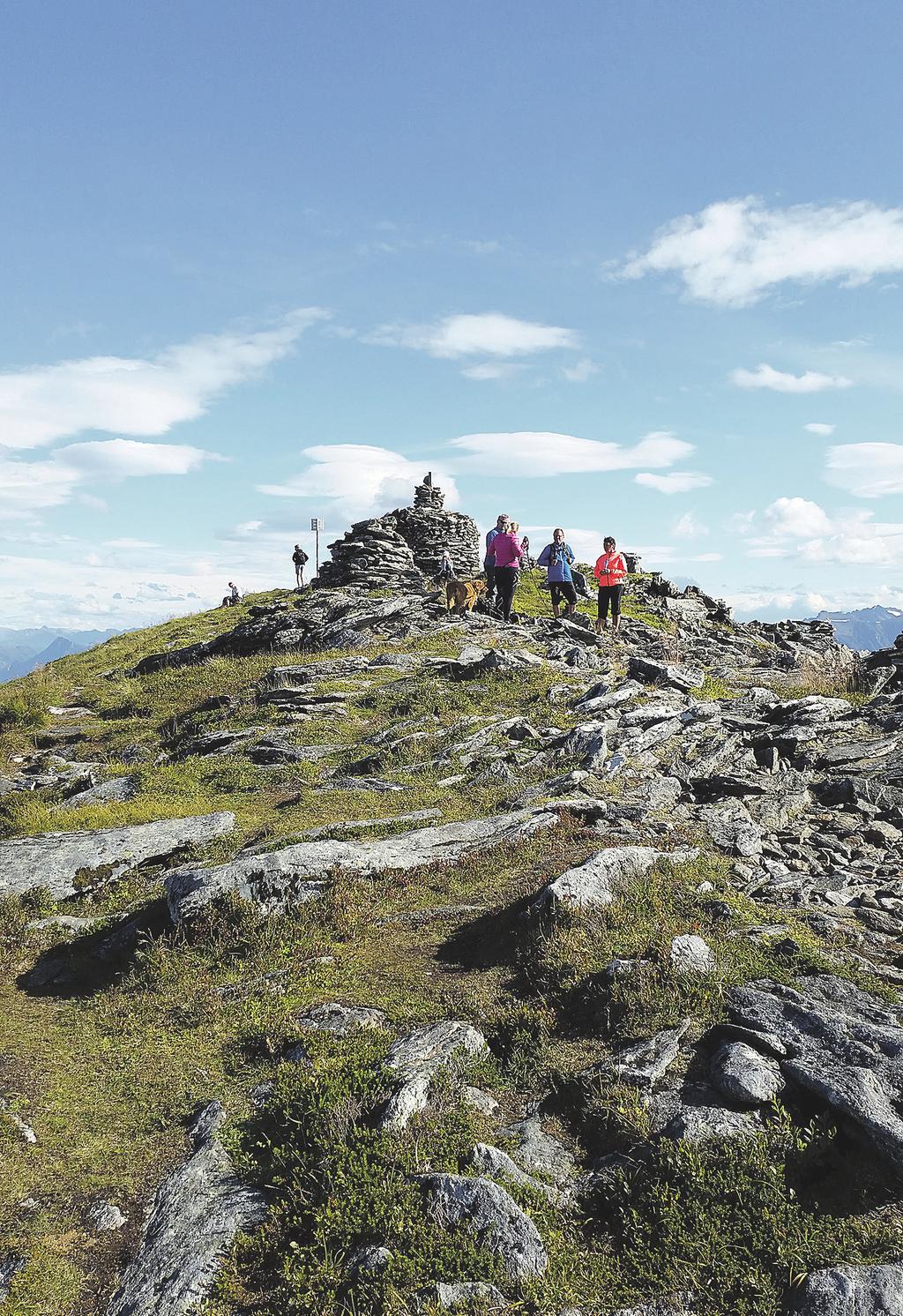 august - november 2019 Med NATURLOS