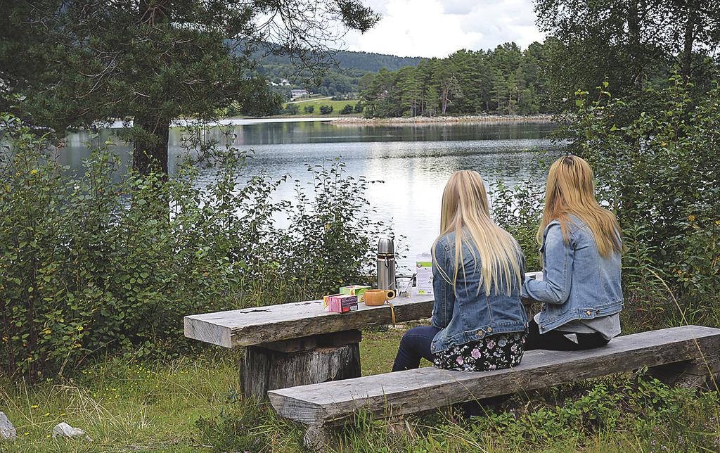 Torsdag 29. august ORDFØRARENS Hestehornet, Ørsta TUR Ordføraren i Ørsta, Stein Aam, inviterer til å bli med på ein familievennleg tur til Hestehornet.