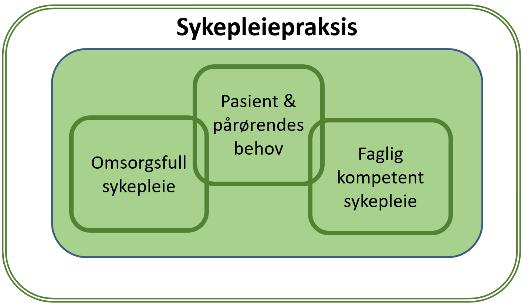 Sykepleiepraksis: Pasient og pårørendes behov; Kjernen i helsehjelp; handlinger som har forebyggende, diagnostisk, behandlende, helsebevarende, rehabiliterende eller pleieog omsorgsformål Faglig