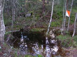 Orientering Orienteringsgruppa i Kjelsås Idrettslag har som mål å gi et breddetilbud til voksne og barn på Kjelsås som er interessert i orientering. Våre aktiviteter skjer i nærområdet.