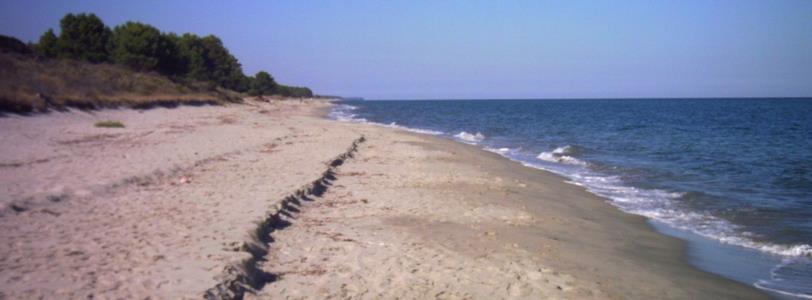 Innledende betraktninger 65 meter Strandsonens begynnelse Furumoa