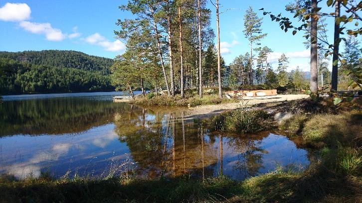 REGULERINGSPLAN FOR GAUPELI HYTTEFELT, DEL AV 11/8 I ÅMLI KOMMUNE 10 Utifrå områdets beskaffenhet ser ein det ikkje som sannsynleg at området skal innehalde artar som er av spesiell verdi.