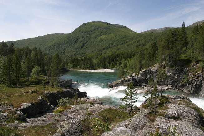 Foto: Naturvernforbundet Nærhet