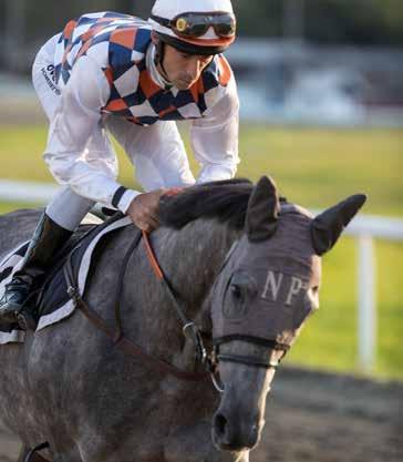 Trener: Wido Neuroth, Øvrevoll Av aktive trenere er han den klart mestseirende treneren på banen. Jockey: Per-Anders Gråberg En flott ambassadør for galoppsporten, som alltid stiller opp.