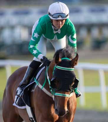 Klar toer bak Red Cactus i Derby på Jägersro, blir nok stor favoritt i Derby. Trener: Niels Petersen, Øvrevoll Champion på Øvrevoll de åtte siste sesongene, hvilket er rekord.