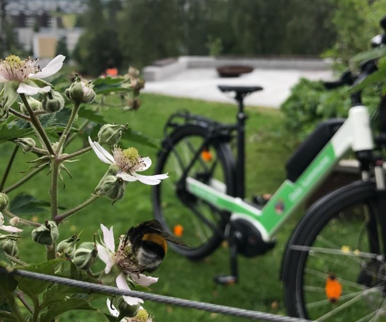 Oslo kommune Bydel Alna