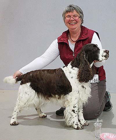 at nok fekk vera nok for ein hund frå landet, så seieren gjekk velfortjent til ein showande cocker.