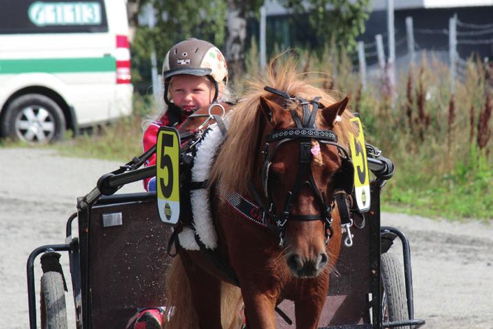 Start ca. kl. 1.15 Mønstringsløp 040 m. Voltestart. Periode/tidskrav: 1.5-15.9: Varmblods 1.4,0 1.35,0 Kaldblods: 1.45,0.