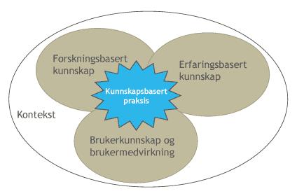 Hva som ligger i begrepet kunnskapsbasert praksis kan illustreres ved hjelp av Jamtvedt, Bjørndal & Hagen (2003) sin modell: Jamtvedt et al. 2003:27 Figur1.