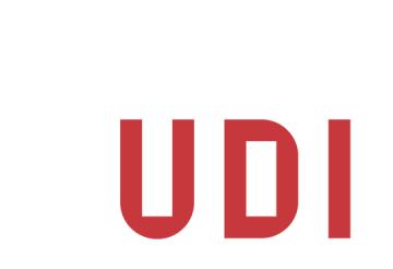 UDIs deltakelse i internasjonale fora Vedlegg 1, Strategi for UDIs internasjonale arbeid.