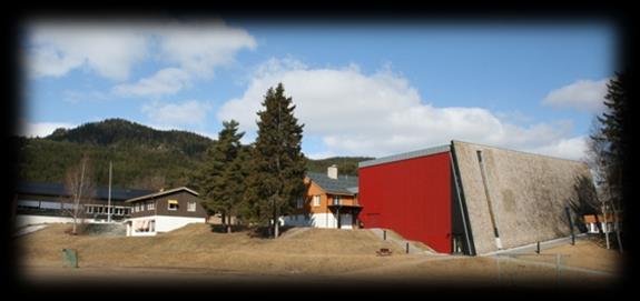 RENDALEN KOMMUNE Fagertun skole Årsplan i engelsk for 3. og 4.