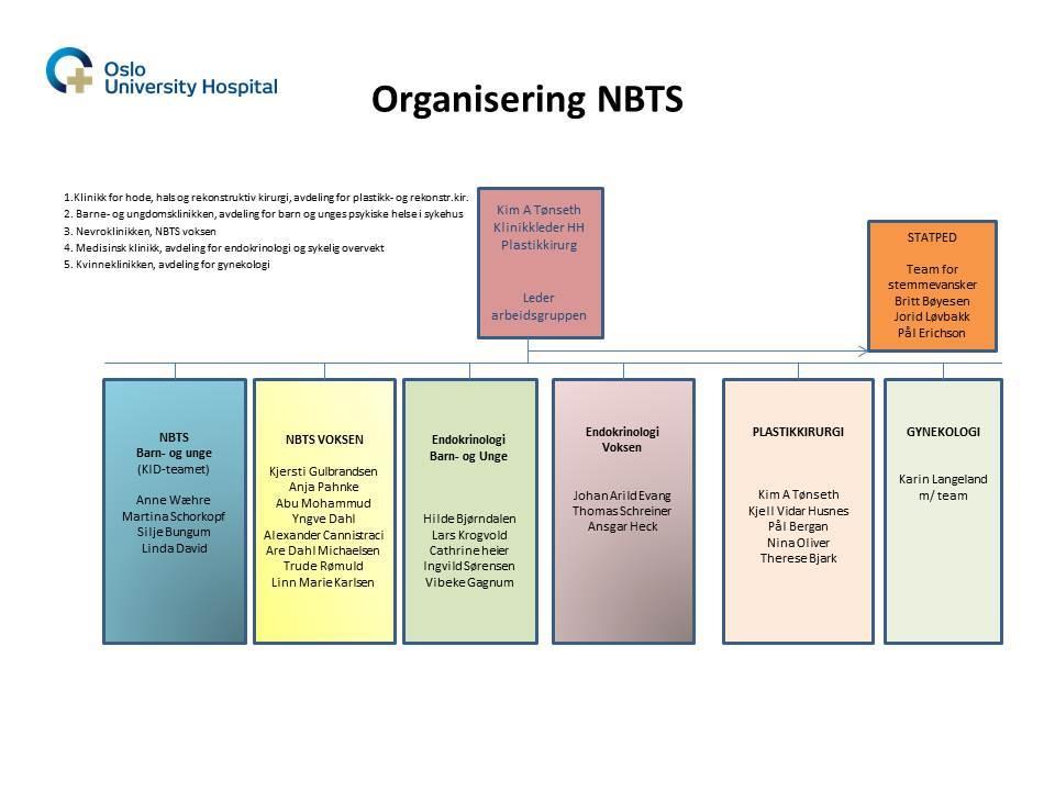 Presentasjon av NBTS voksen Antall henvisninger, konsultasjoner og behandlinger ved NBTS voksen I 2018 ble det henvist 449 pasienter til NBTS voksen. Av disse var ca.