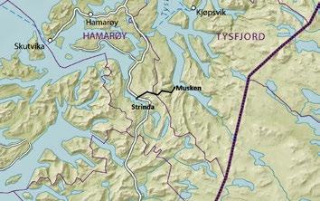 4.1 Losen Anna i Makkvatn Anna Pedersdatter, eller Anna i Makkvatnet (1883 1969) som hun het i Tysfjord, var født på gården Salhus i Nordfold. Hun hadde sju søsken og var eldst i søskenflokken.