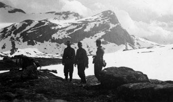 Bergjegere på fjellet i nærheten av Grunnfjordbotn. Bøffelmarsjen juni 1940. Fotograf: Rudi Margreiter. Arkiv: Dag Skogheim / Arkiv i Nordland. På den måten fikk han med seg kua.
