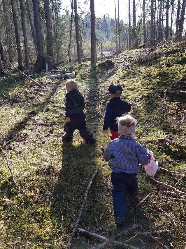 gjennomført for denne gruppen, ikke minst med tanke på språkutvikling. Veien videre I følge «Kompetanse for fremtidens barnehage.