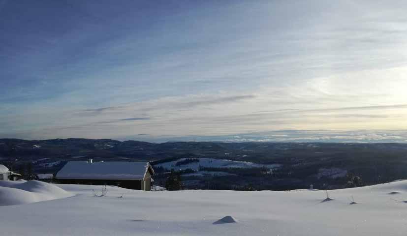 Fjellsbygda i Valdres Ny hytte