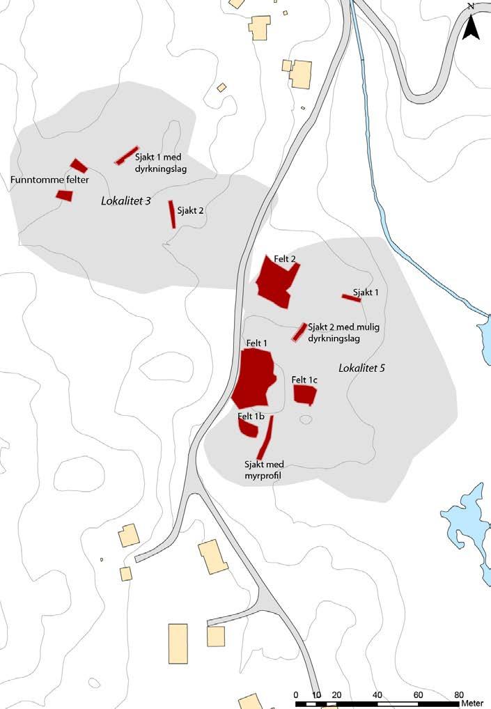 8 bergnabb bevokst med trær. Øst for denne var det en tørr skrånende flate på ca. 200 m 2. Her ble det åpnet et 40 m 2 stort utgravingsfelt definert som 1c.