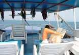 Mackerel/Spanish Mackerel, Snapper, Grouper, Sweetlips, Sharks,