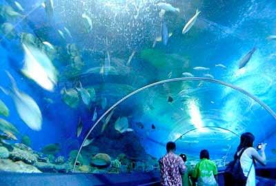 UNDERWATER WORLD Underwater World Pattaya sier deres nyeste