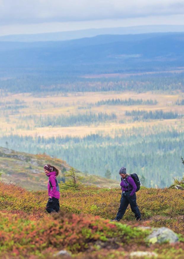 salgstelt Åpningstider i Fageråsen under Trysilrypa: Torsdag... 0 Fredag... 09 4 Lørdag... 08 8 Søndag.