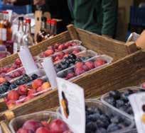 Featuring: Plums, entertainment, plummy food and drink, merchandise and horticulture advice from the Vale Landscape Heritage Trust in Plum Alley.