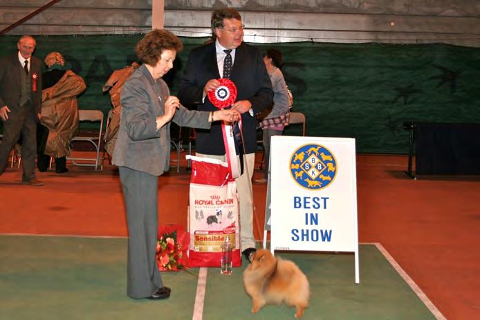 BSBK UTSTILLING 26. - 27. september 2009 BEST IN SHOW Pomeranian - N S UCH NV-02 POM-CLASSIC RAINBOW RIDER. Eier: Eva og Stephan McQuiston, 5355 Knarrevik. 2. Dalmatiner - INT NORD FIN UCH LOVINDA'S FABIAN.