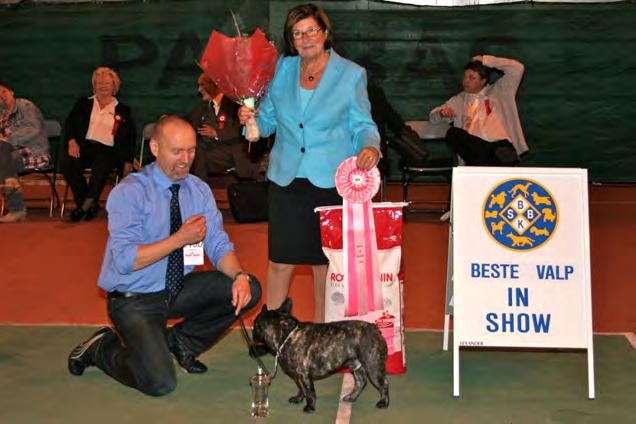 Beste Valp in Show BESTE VALP IN SHOW - Dommer: Monica Blaha, Sveits. 1. Fransk Bulldog - CHARLES OTTO. Eier: Kari Sangolt, 5357 Fjell. 2. Bearded Collie - T-BOB'S BRIANNA MY BLACK PEARL.