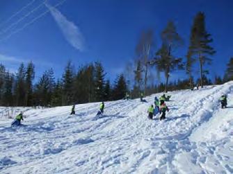 Denne måneden: Følge med på endringer i naturen Snø- og uteaktiviteter Lek og vennskap Mattelek JANUAR 2020 UKE mandag tirsdag onsdag torsdag fredag lørdag søndag 1 1. NYTTÅRSDAG Planleggingsdag.