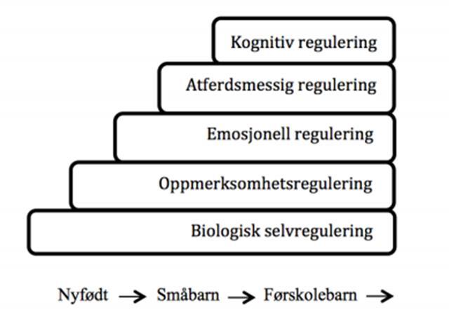 2.3.4 Selvregulering som hierarkisk prosess Calkins og Williford (2009) ser på utvikling av selvregulering innen fem ulike områder som en hierarkisk prosess, hvor biologisk selvregulering,