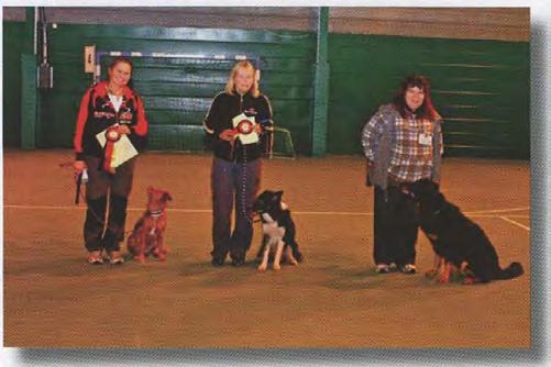 LYDIGHETSPRØVER Eyemarkers Lord Mc Scott. BESTE VALP IN SHOW t KLASSE 1 - Dommer: Ann Christin Sjøtun. 1. 167,5 p - Karen-Anne Stordalen, 5053 Bergen ml N.S. Duck Tolling retriever, Aha I Am Loverly.