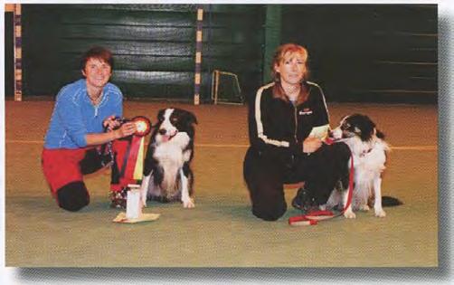 KLASSE 3 - Dommer: Ann Christin Sjøtun. Det var ingen deltagere som fikk 1. premie. Engelsk Springer Spaniel - COOL-DOG'S DON'T STOP ME. Eier: Lisbeth Sandlund, 2240 Magnor. 2. Irsk Ulvehund - ZVEZDA AV GRUNNING.