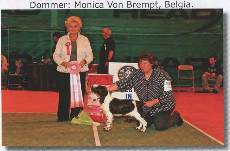 KLASSE ELITE - Dommer: Ann Christin Sjøtun. 1. 258,5 p - Sissel Grønlund, 5303 Follese m/ Border Collie N LCH - I 8 - GRUPPE 1 - VALP - Dommer: Kitty Sjong, Danmark. 1. Belgisk Fårehund Groenendael - FRENCH TOUCH DU BOIS DU TOT.