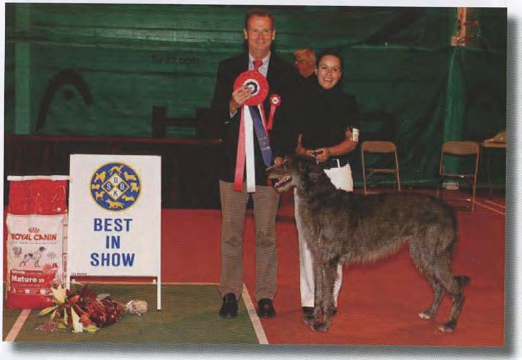 RESULTATER BSBK UTSTILLING 25. - 26. SEPT. 2010 BEST IN SHOW - Dommer: Hans Von Den Berg, Holland Skotsk Hjortehund - N UCH TROON JULIA CECARIS.