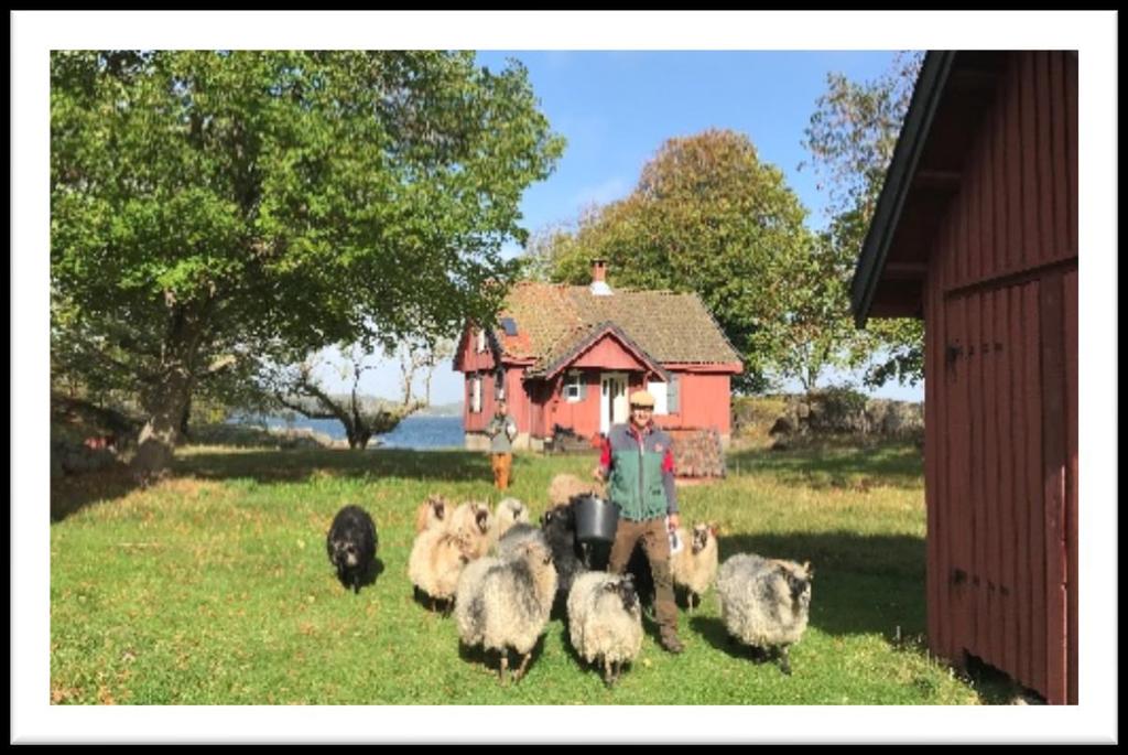 Samling på Lindholmen